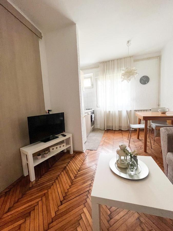 Kopernik - Parking Available Apartman Belgrád Kültér fotó
